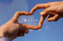 HALO life丨浪漫七夕，用HALO原生舒适铺满家的仪式感